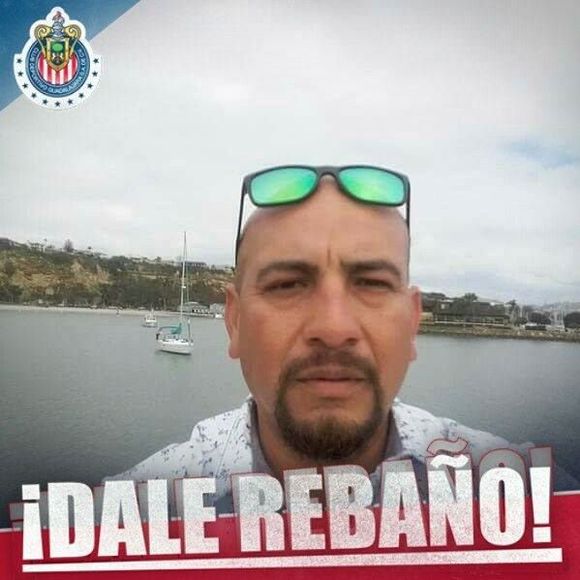 Meet your Posher, David - Picture 1 of 1